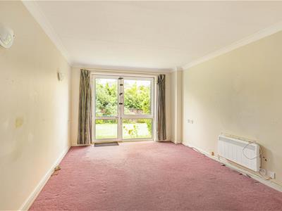 Picture 7
